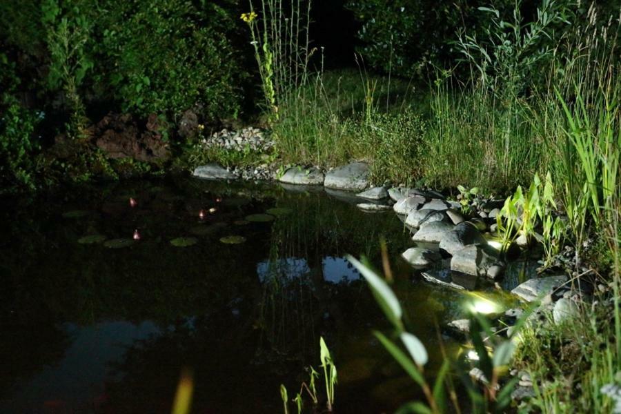 שאלקנמרן Ferienwohnung Welcome Mit Seeblick מראה חיצוני תמונה